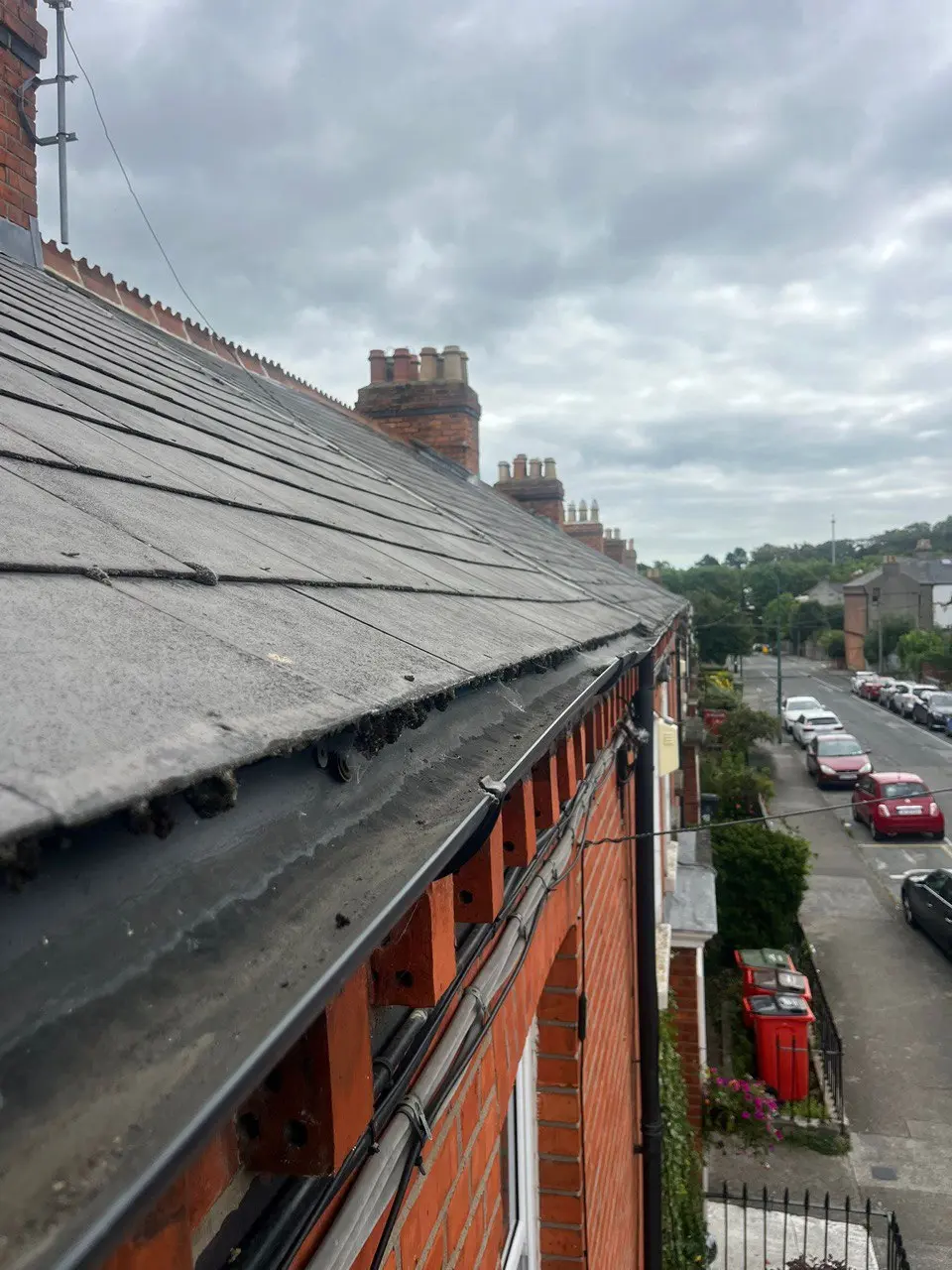 Professional roof cleaning and repairs by SealTec Roofing Dublin, Kildare & Wicklow